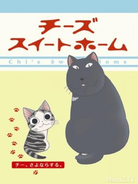 M??i ???m c?»§a m??o Chii
