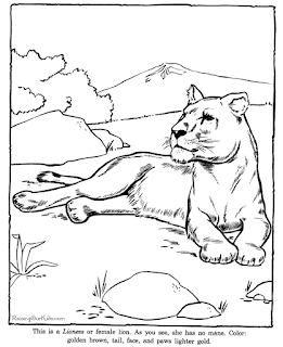 African Lion Animals Coloring Pages - Best Coloring Pages For Kids