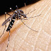 Suman 5 mil 204 infectados de zika en México; Veracruz con mayor número de casos