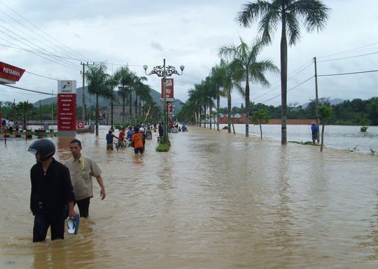 Keanekaragaman Makhluk Hidup dalam Pelestarian Ekosistem  GuruIPA
