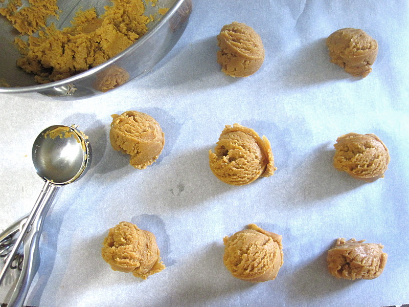 Flourless Vanilla Almond Butter Cookies (glutenfree, peanutfree, dairyfree) The Lindsay Ann
