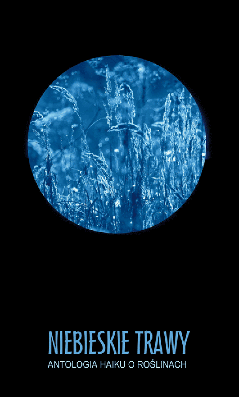 Niebieskie Trawy (2012)
