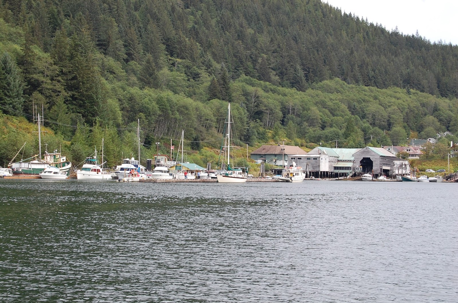 Adventure to Alaska! Ocean Falls, Cousins Inlet, B.C. 08.28.2013
