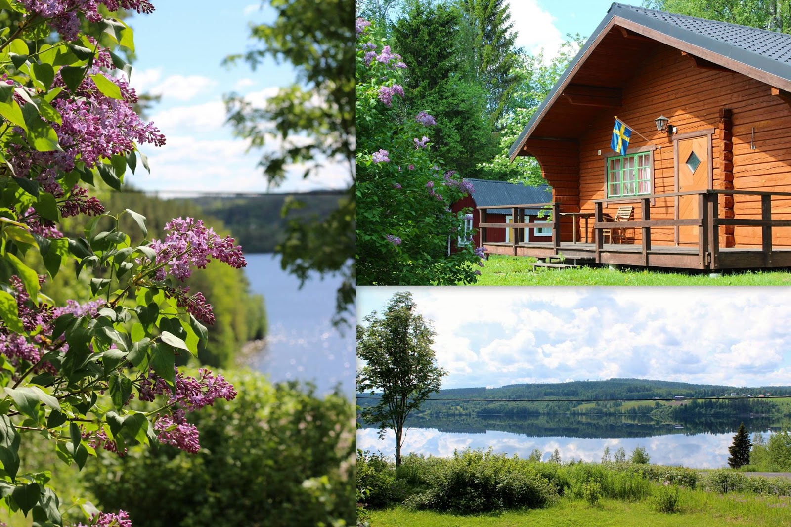 stuga uthyres i Ångermanland Sollefteå nära Höga kusten stugor holiday cabin