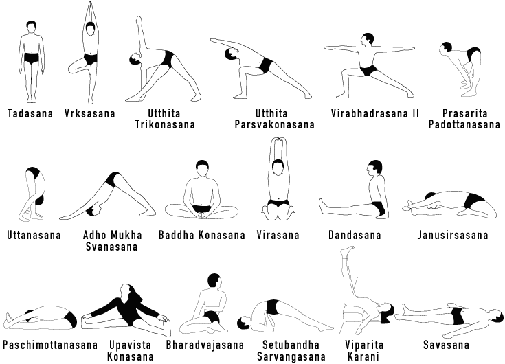 Yoga Therapy: Yoga Asanas