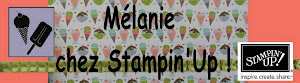 Mon blog spécial Stampin'Up !