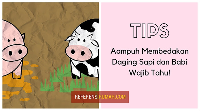 Tips Ampuh Membedakan Daging Sapi Segar Dengan Daging Babi, Wajib Tahu! Tips Ampuh Membedakan Daging Sapi Segar Dengan Daging Babi, Wajib Tahu!