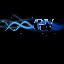 [Label] GV-Sound
