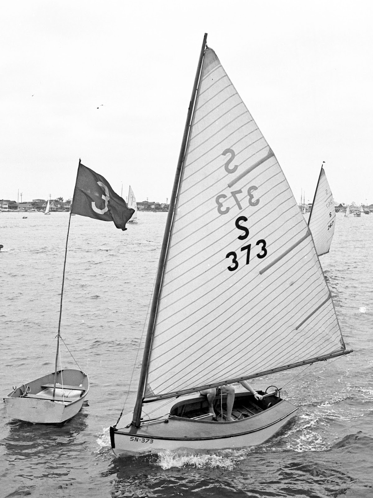 Earwigoagin Header Photo The Flight of the Snowbirds