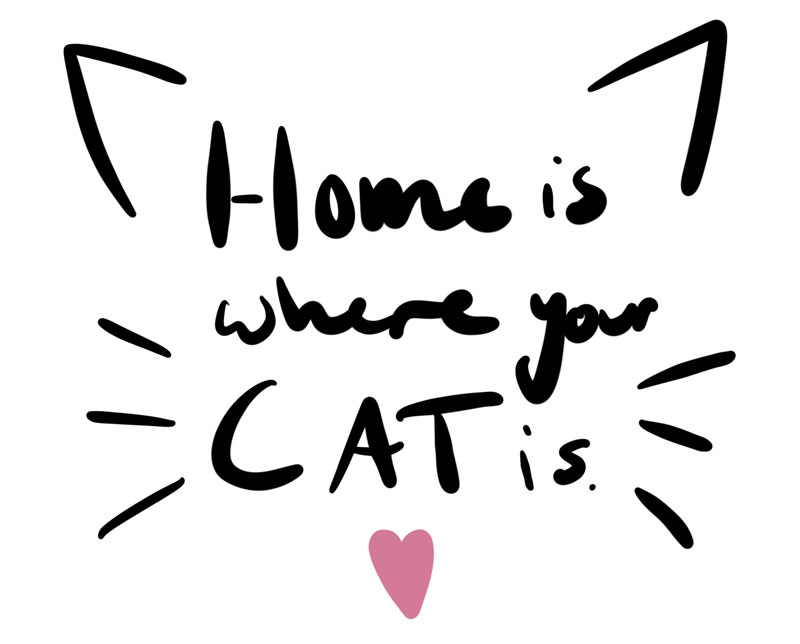 KuneCoco • Aus dem Leben einer Katzenlady #3 KuneCoco • Aus dem Leben einer Katzenlady #3 • Home is where your cat is
