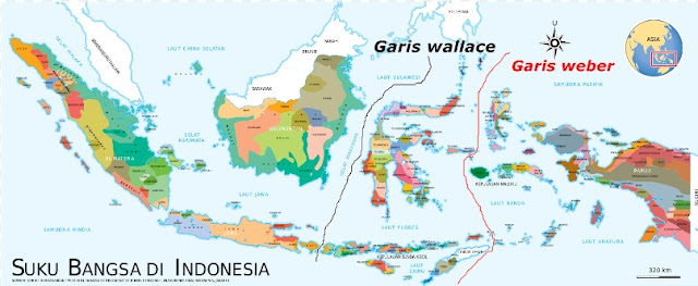 Pengertian dan Daerahdaerah Persebaran Garis Wallace dan Weber
