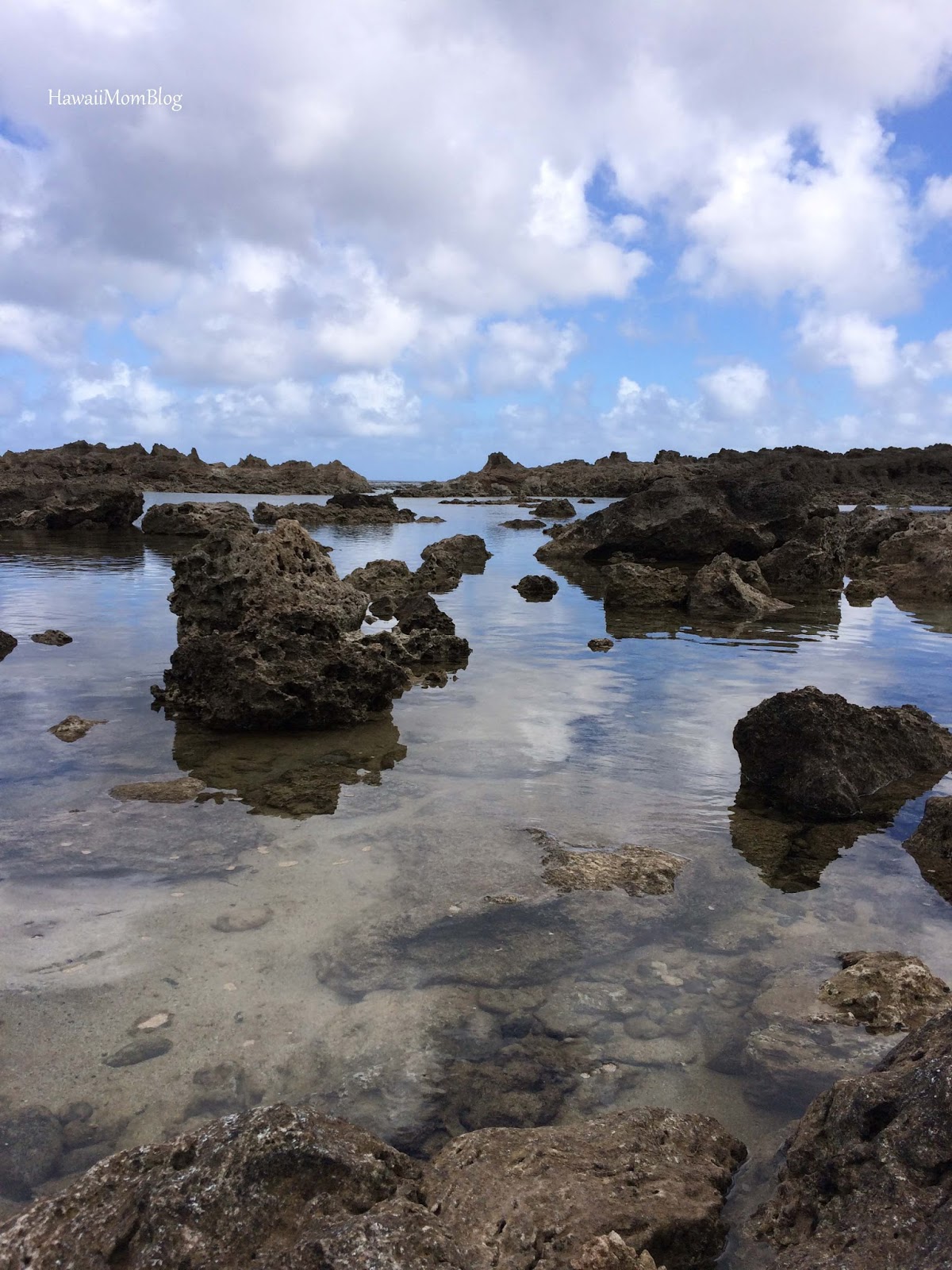Hawaii Mom Blog Pupukea Tide Pools