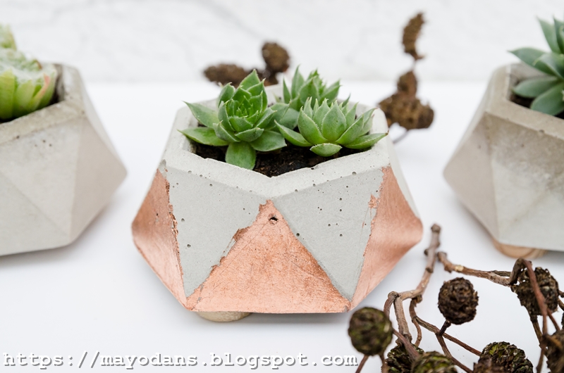 Diy Basteln Gips Beton Schale Herz Rosa Als Dekoration