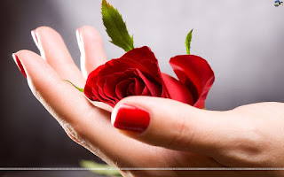 Rose day messages Rose day messages