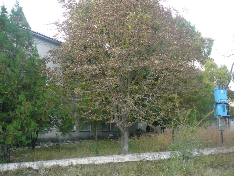 MOLDOVA NISPORENI REAL ESTATE FOR SALE