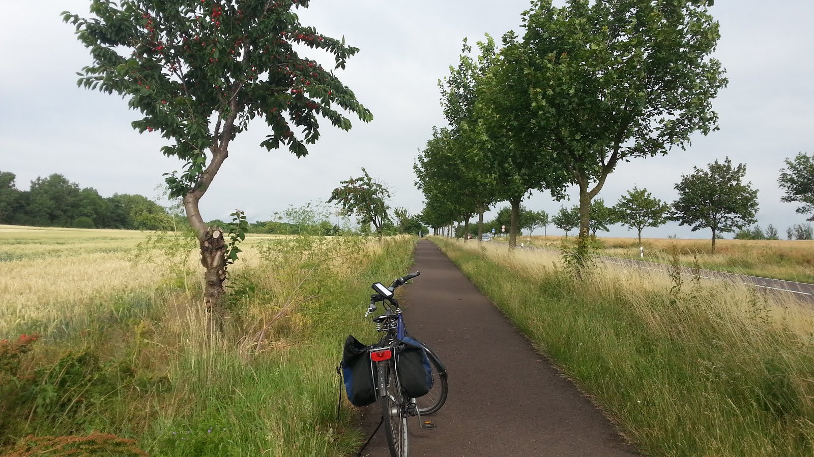 Fahrradzeit Wochenende Magdeburg