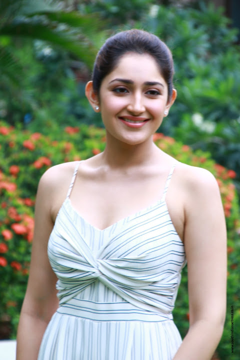 Sayyeshaa Saigal at Ghajinikanth Press Meet