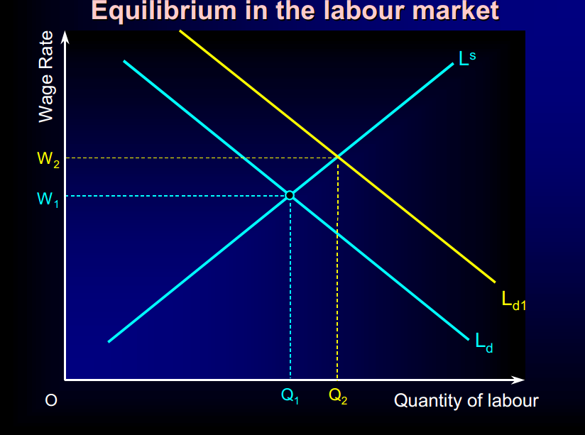 Economics A Levels LABOUR MARKETS