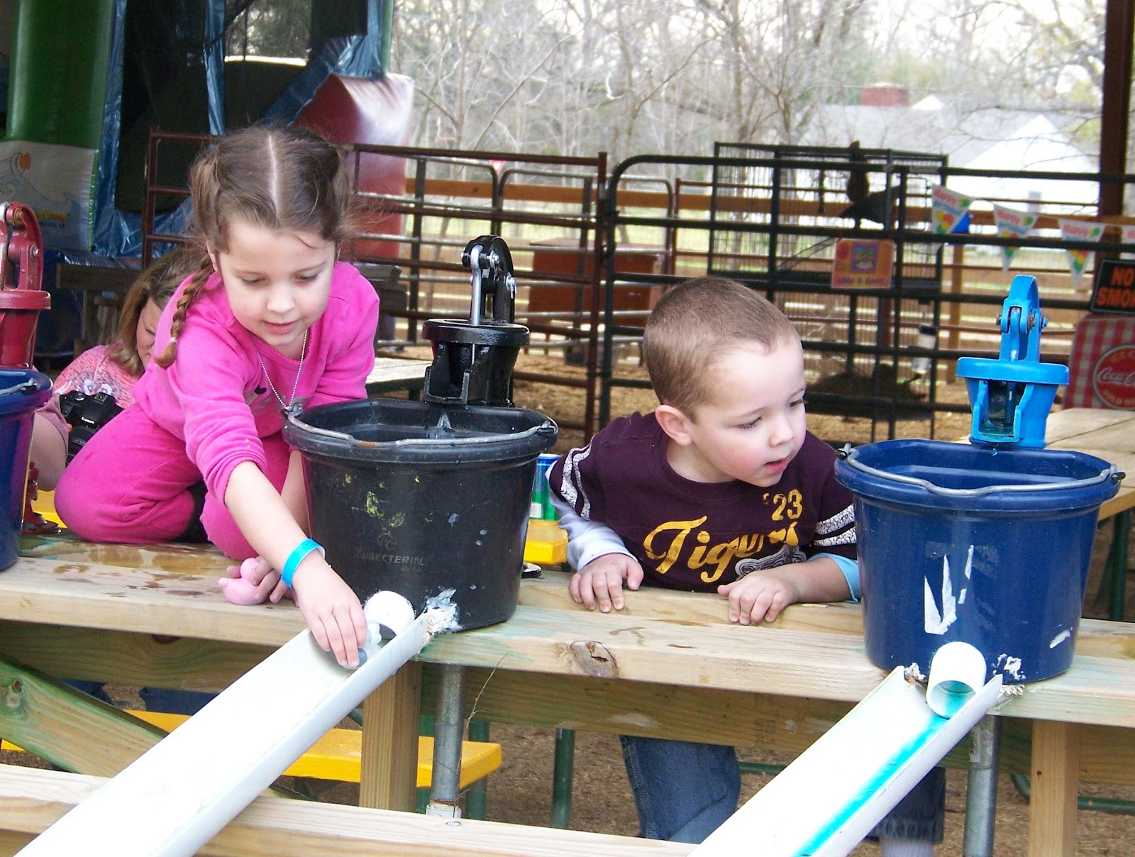 Poole's Potpourri Jubilee Zoo Blanchard, LA