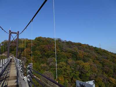 【大阪府交野市】星のブランコ・秋の紅葉ウォーキング