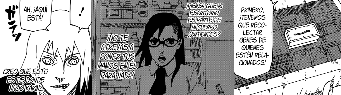 Quien Es La Madre De Sarada