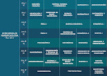 Licenciatura en Nanotecnología.