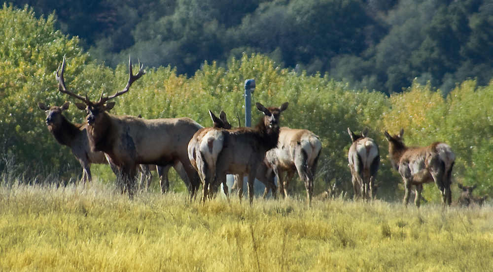 DalmDad's Photo and Travel Blog Over the Mountains... (Part 2 of 7