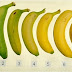 Laquelle de ces bananes est la MEILLEURE pour vous ... mûre ou non?