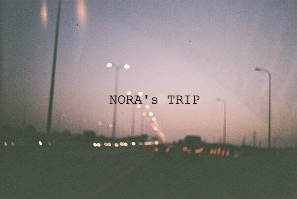 Nora's trip