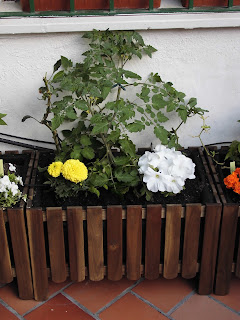 Un Huerto En El Patio