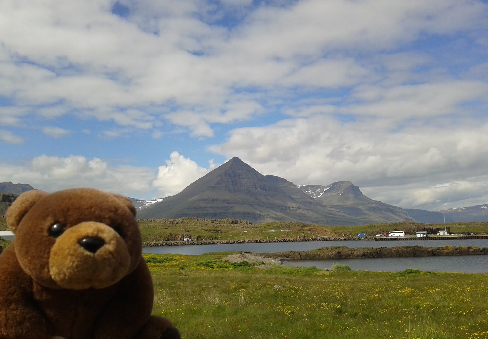 Teddy Bear in Djúpivogur, Iceland