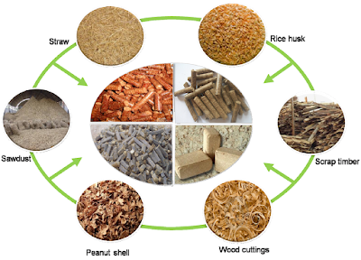 Biomassa (Karekteristik, Komposisi, Proses Terbentuk, Energi, Konversi Energi, dan Manfaat Biomassa)