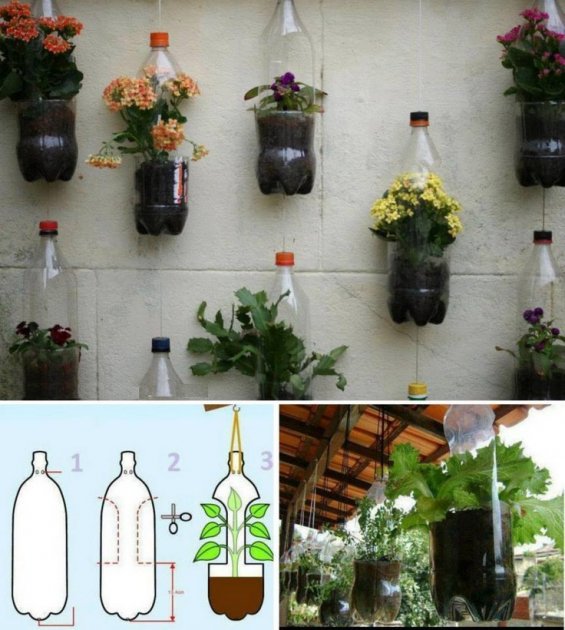 COMO REALIZAR JARDINES VERTICALES EN EL HOGAR | Arquitecto Alexander Araque