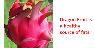 Dragon Fruit is a healthy source of fats Dragon Fruit is a healthy source of fats