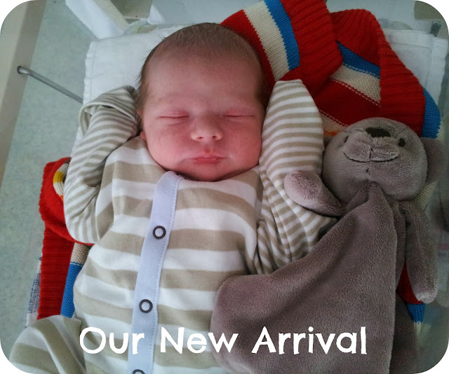 Squish, newborn baby boy, newborn baby, two hours old baby, new baby announcement