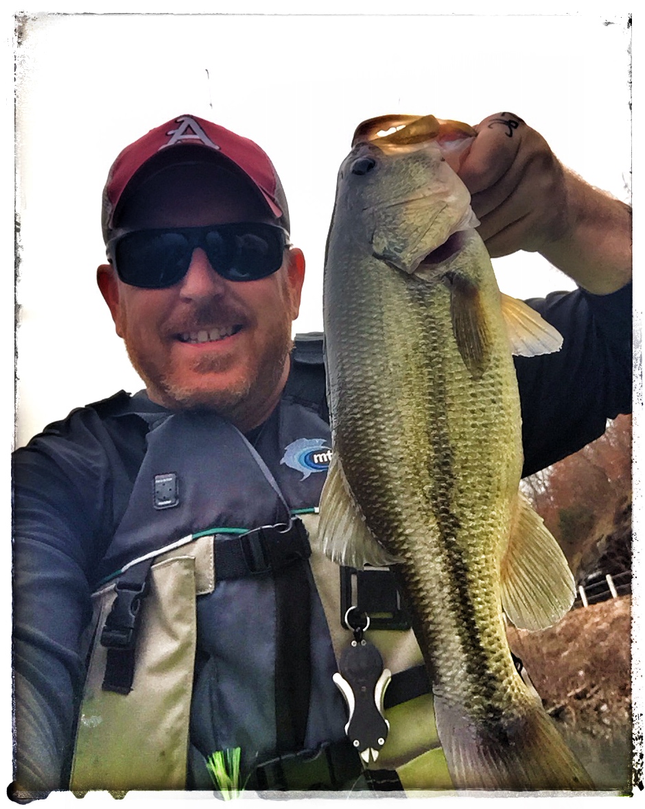 dobyns carolina rig rod