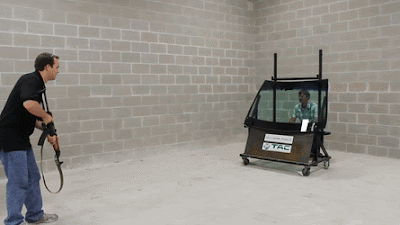 InfatuatedClassicGermanshorthairedpointe