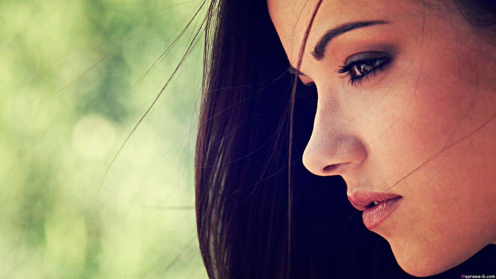 Blacks Law Dictionary - Wikipedia