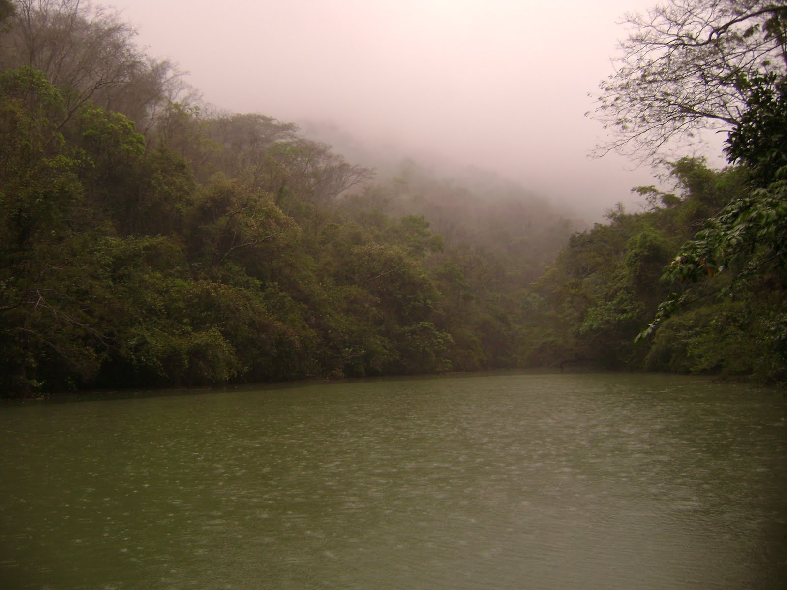 Blog da SEMAM Nova Iguaçu Parque Natural Municipal de Nova Iguaçu Blog da SEMAM Nova Iguaçu Parque Natural Municipal de Nova Iguaçu