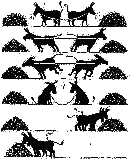 ¿Como solucionar Conflictos?
