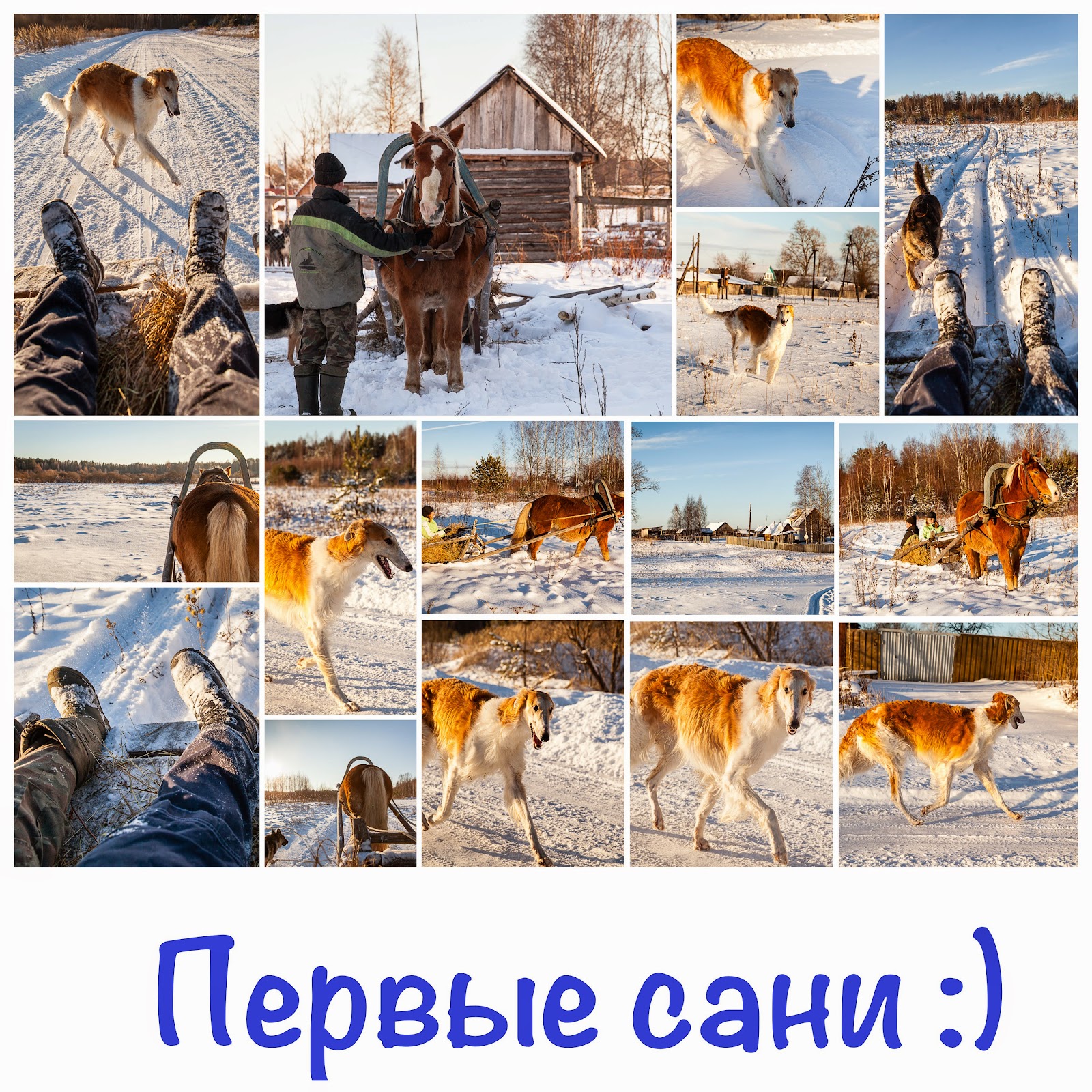 Конные прогулки и катания на санях в Твери и Тверской области.