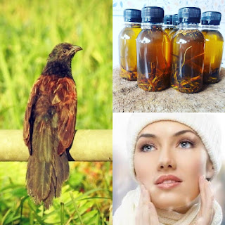 Manfaat Minyak But But Untuk Kecantikan Wajah, Jerawat, Gatal  Minyak but but atau ada juga sebagian menyebutnya dengan minyak bubut adalah minyak alami Manfaat Minyak But But Untuk Kecantikan Wajah, Jerawat, Gatal