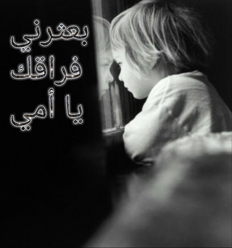 ���� ���� ������ �� ���� ������