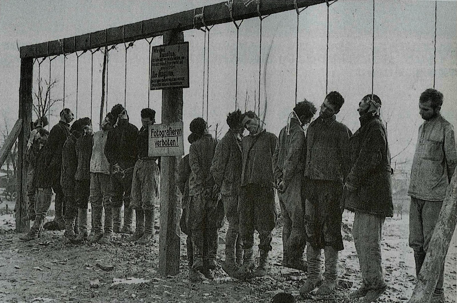 Japan No War Jnw 日本平和の市民連盟 ナチス ドイツ軍の親衛隊は多数のロシア人らをパルチザンとして見せしめの絞首刑を執行した
