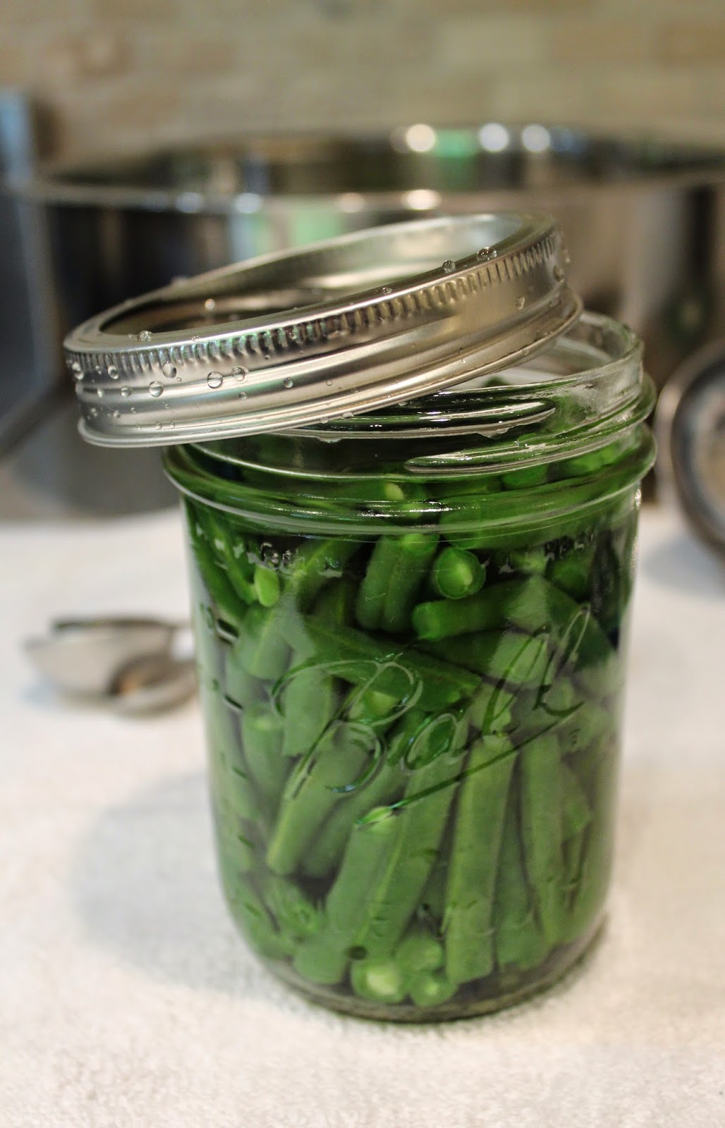 Ohio Thoughts: Canning Green Beans
