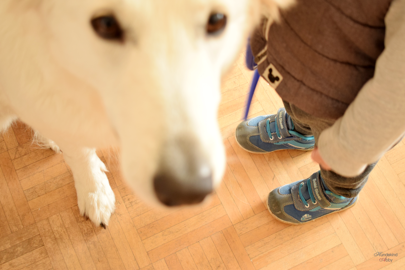 Ausflugsziele Mit Hund In Und Um Leipzig Raus Ins Grune Loki
