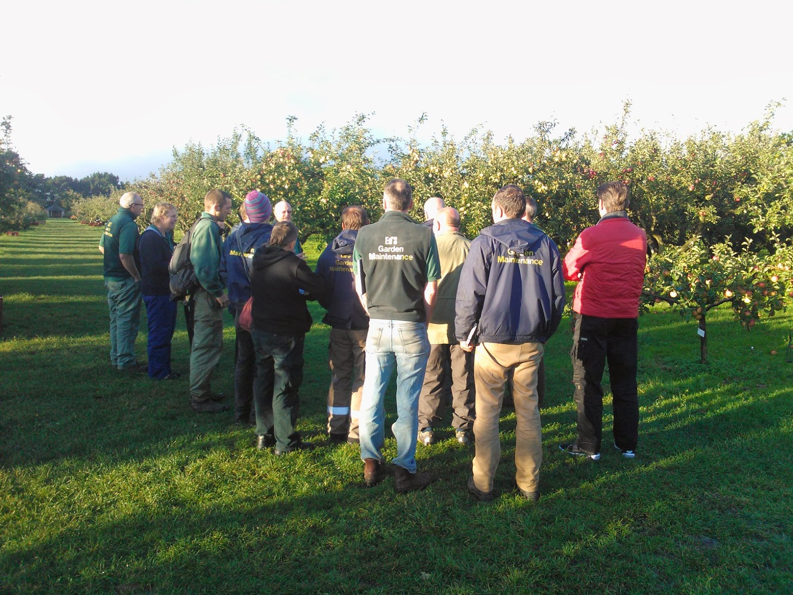 Garden Maintenance Ed''s Garden Maintenance Franchise