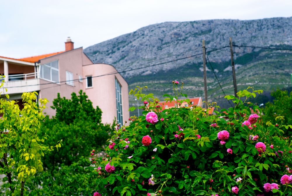 BLOG MODE HOMME PREPPY DANDY CONSEIL STYLE PARIS ELEGANCE TENDANCE JEUNE BLOG MODE HOMME PREPPY DANDY CONSEIL STYLE PARIS ELEGANCE TENDANCE JEUNE