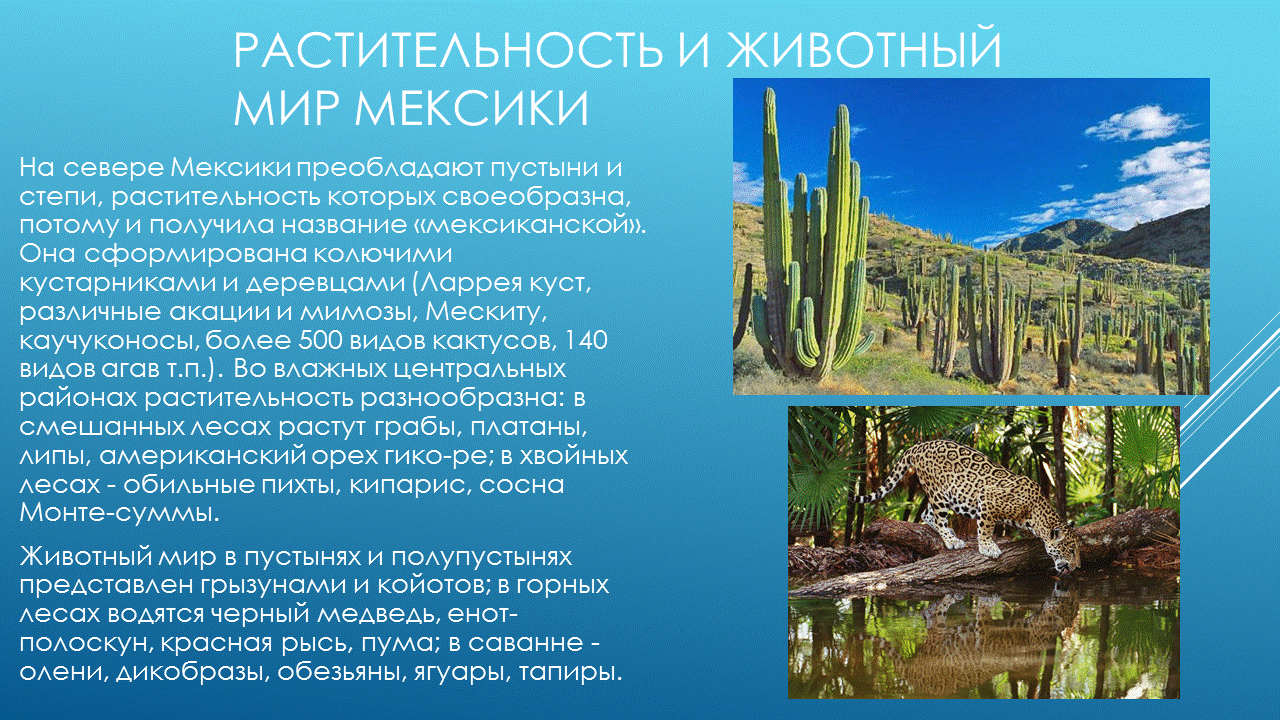 природные зоны исландии. климатические зоны на карте мексики. природные зоны мексико. животный мир мексики презентация. климатические зоны мексики.