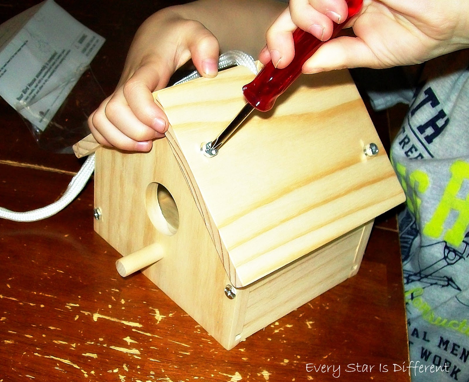 Building a bird house